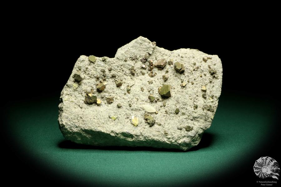 Sphalerit XX (19658) ein Mineral aus Kasachstan | Mineralien | Weltweit