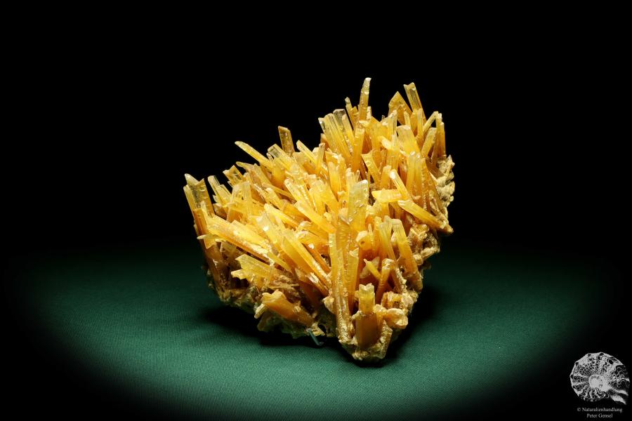 Gypsum XX (19665) a mineral from Germany | Minerals | From Germany