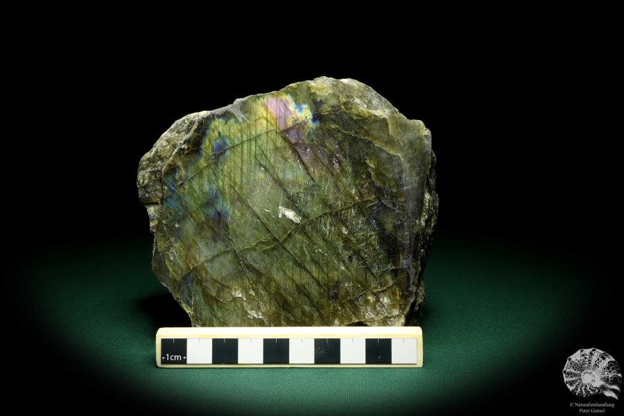 Labradorit (19672) ein Mineral aus Madagaskar | Mineralien | Weltweit