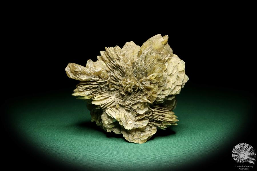 Gypsum XX (19676) a mineral from Germany | Minerals | From Germany