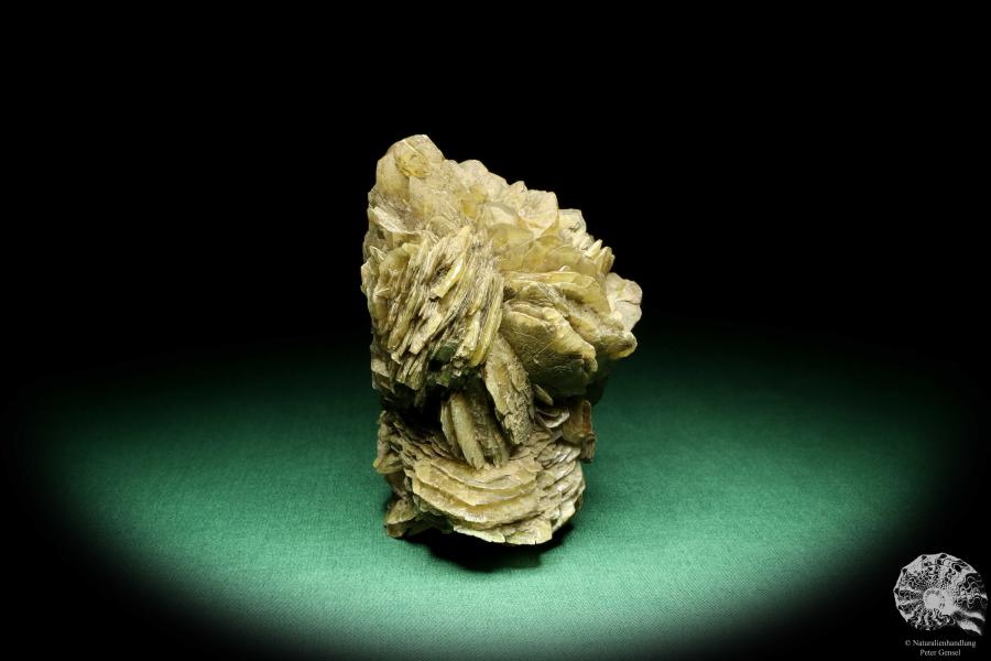 Gypsum XX (19676) a mineral from Germany | Minerals | From Germany