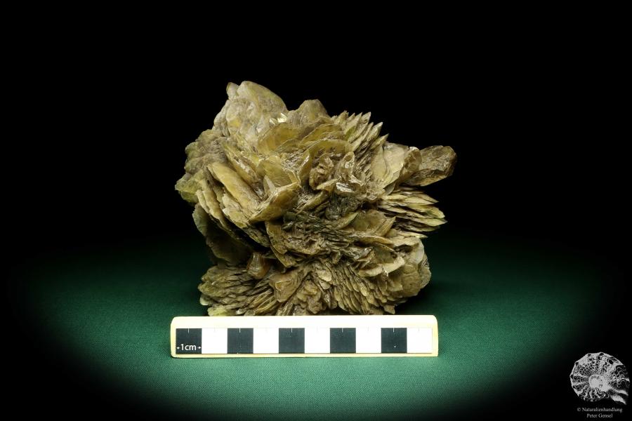 Gypsum XX (19676) a mineral from Germany | Minerals | From Germany