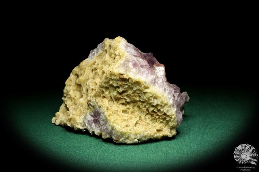 Amethyst XX (19691) ein Mineral aus Afrika | Mineralien | Weltweit