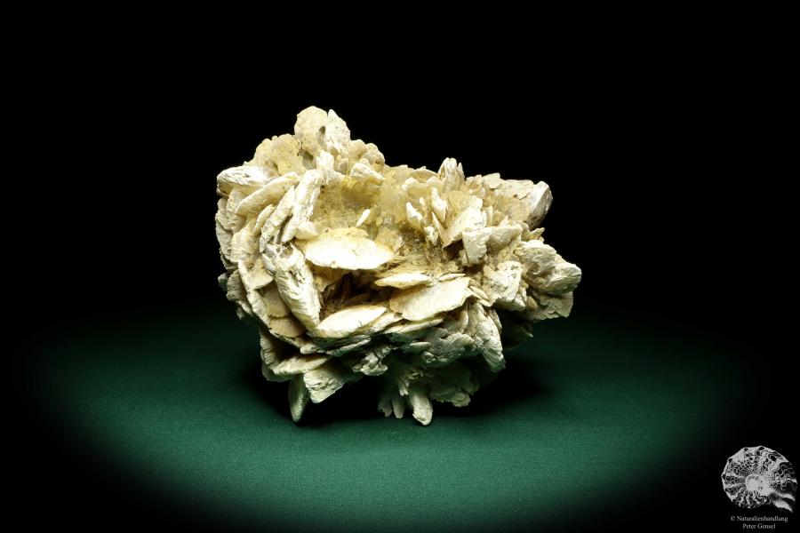 Gypsum XX (19700) a mineral from Kazakhstan | Minerals | Global