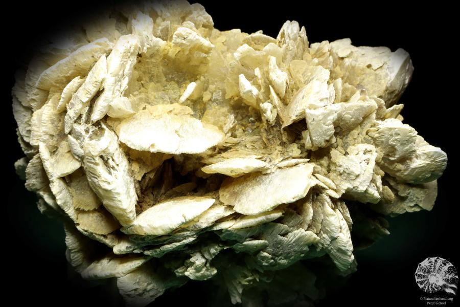 Gypsum XX (19700) a mineral from Kazakhstan | Minerals | Global