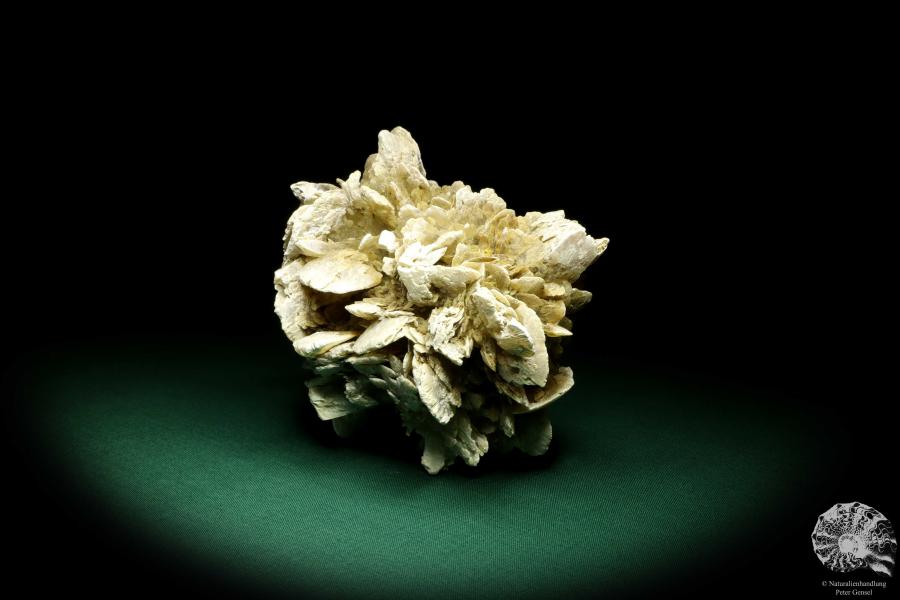 Gypsum XX (19700) a mineral from Kazakhstan | Minerals | Global