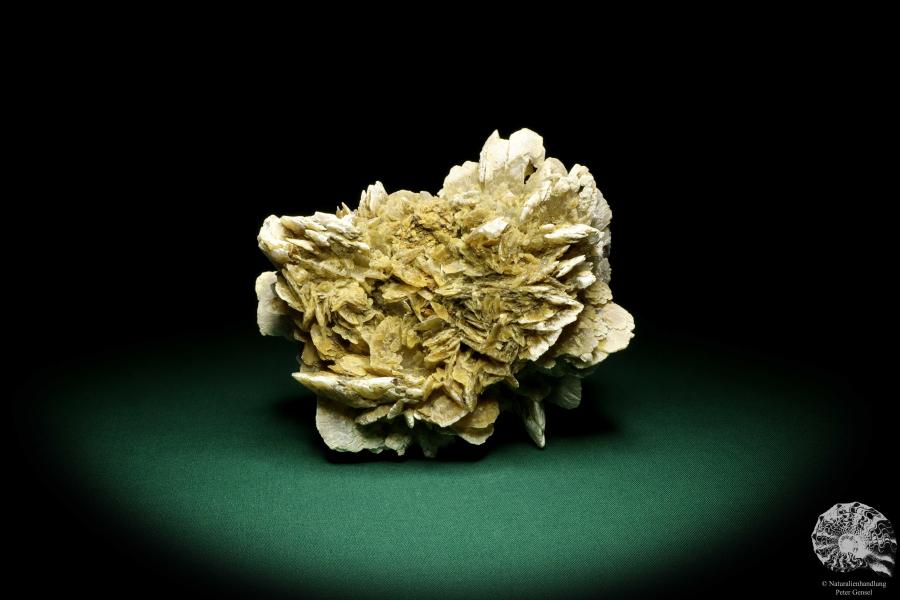 Gypsum XX (19700) a mineral from Kazakhstan | Minerals | Global