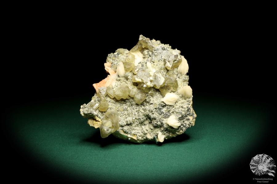 Cerussit XX & Baryt XX (19704) ein Mineral aus Marokko | Mineralien | Weltweit