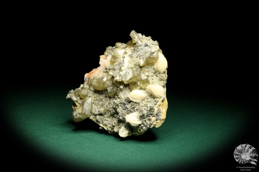 Cerussit XX & Baryt XX (19704) ein Mineral aus Marokko | Mineralien | Weltweit