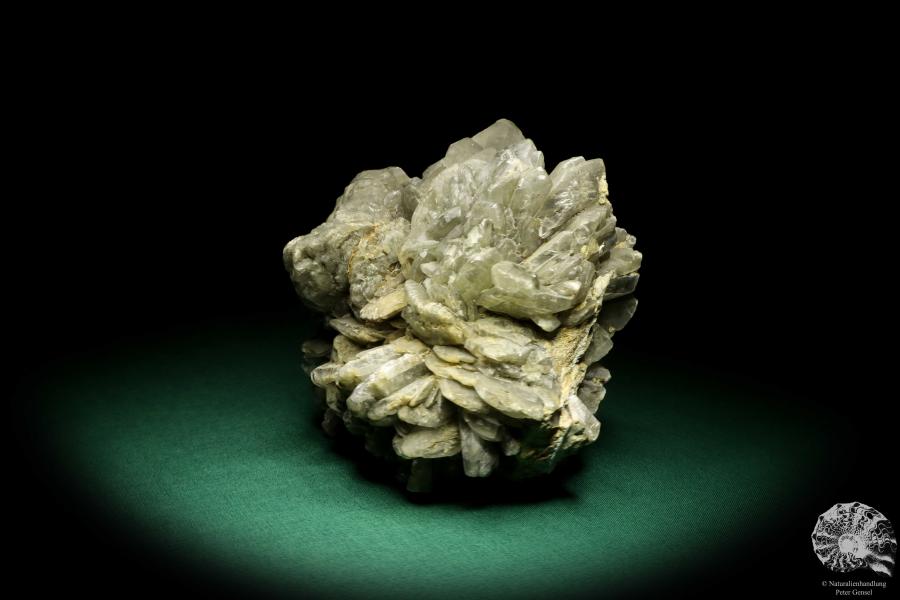 Gypsum XX (19710) a mineral from Germany | Minerals | From Germany