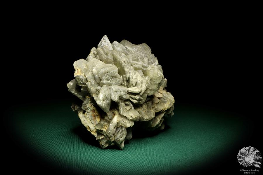 Gypsum XX (19710) a mineral from Germany | Minerals | From Germany