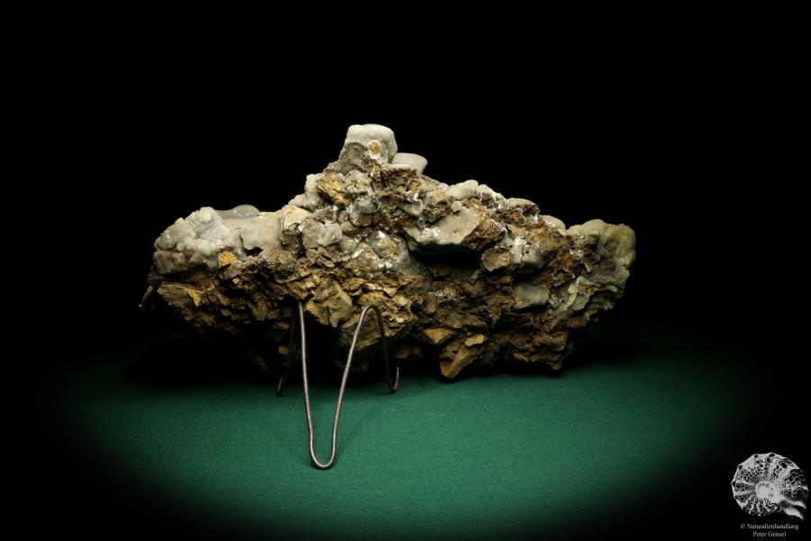 Calcite Sinter (19713) a mineral from Germany | Minerals | From Germany