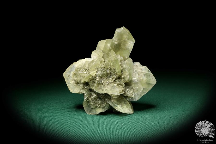 Gypsum XX (19892) a mineral from Germany | Minerals | From Germany