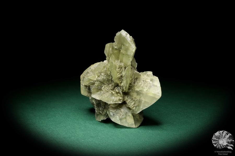 Gypsum XX (19892) a mineral from Germany | Minerals | From Germany