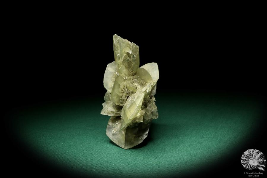 Gypsum XX (19892) a mineral from Germany | Minerals | From Germany