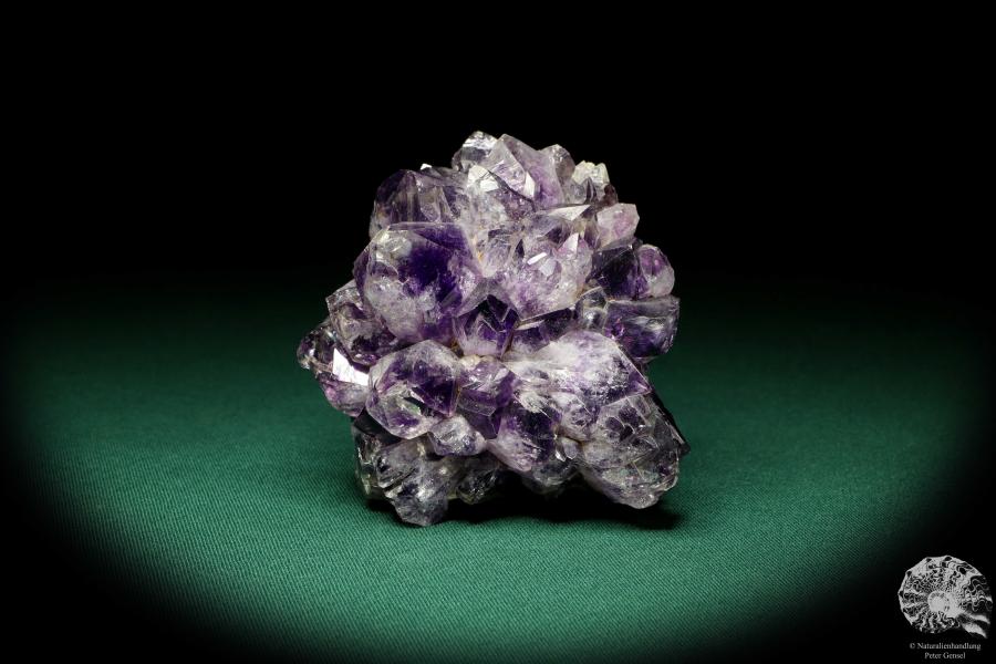 Amethyst XX (19903) ein Mineral aus Uruguay | Mineralien | Weltweit