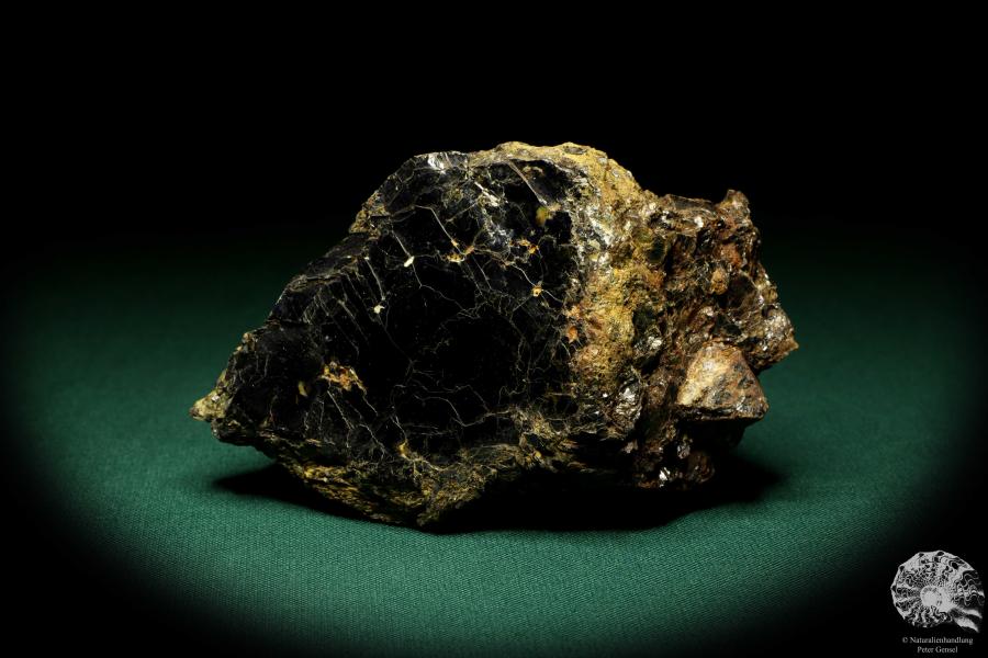 Biotite with Zircon XX (19904) a mineral from Russia | Minerals | Global