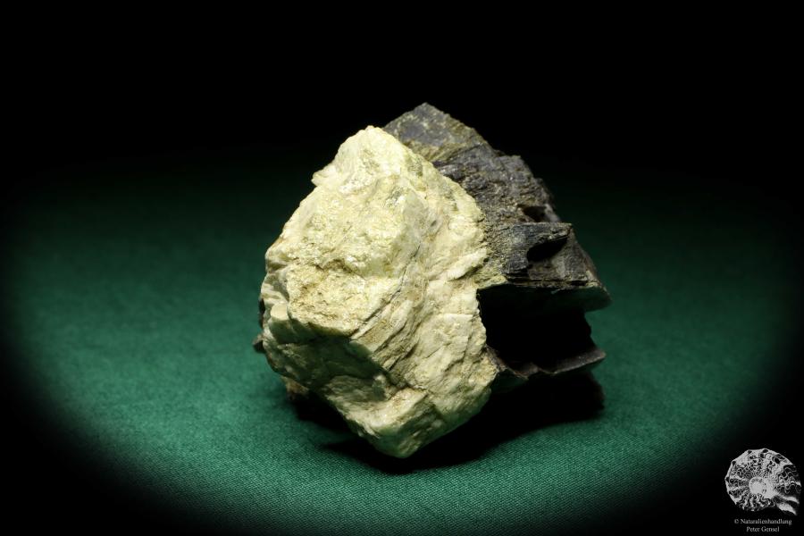 Muscovit XX (19907) ein Mineral aus Norwegen | Mineralien | Weltweit