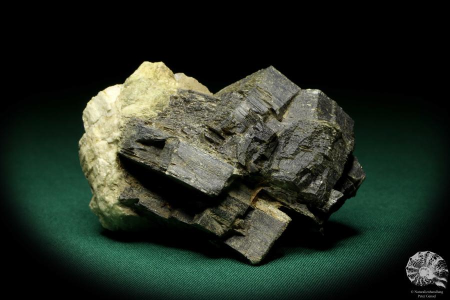 Muscovit XX (19907) ein Mineral aus Norwegen | Mineralien | Weltweit