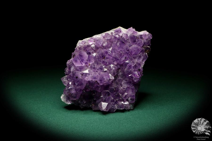 Amethyst XX (19908) ein Mineral aus Brasilien | Mineralien | Weltweit