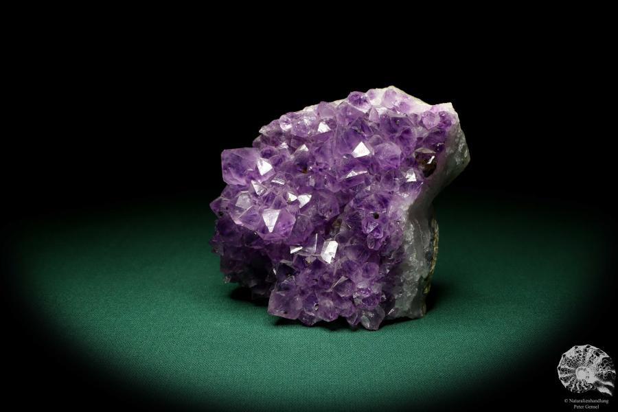 Amethyst XX (19908) ein Mineral aus Brasilien | Mineralien | Weltweit