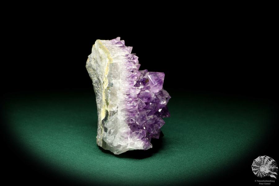 Amethyst XX (19908) ein Mineral aus Brasilien | Mineralien | Weltweit