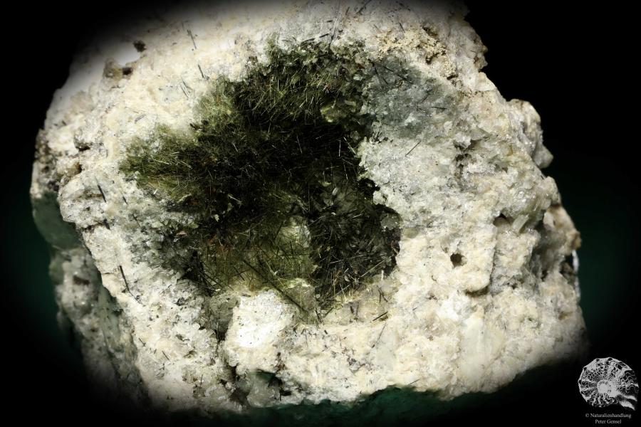 Aegirin XX (19909) ein Mineral aus Russland | Mineralien | Weltweit