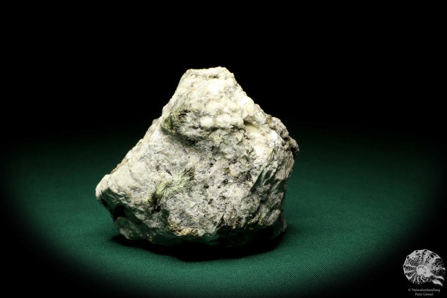 Aegirin XX (19909) ein Mineral aus Russland | Mineralien | Weltweit