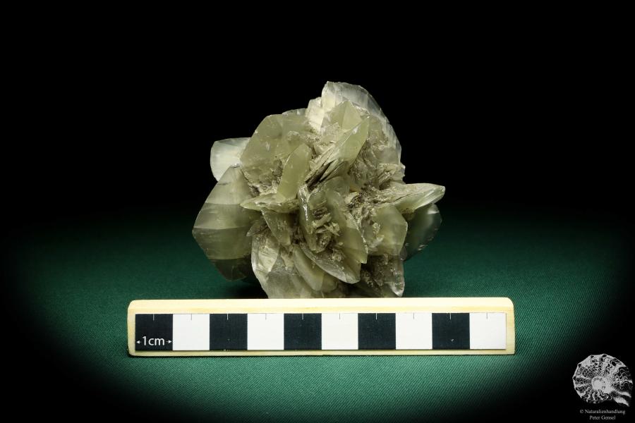 Gypsum XX (19910) a mineral from Germany | Minerals | From Germany