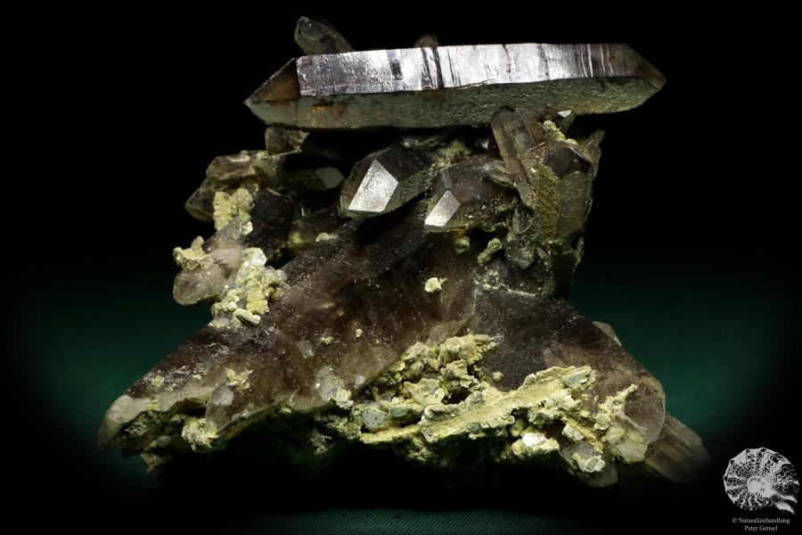 Rauchquarz XX (19911) ein Mineral aus Kasachstan | Mineralien | Weltweit