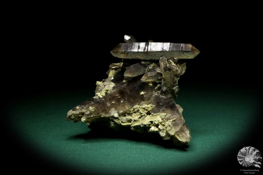 Rauchquarz XX (19911) ein Mineral aus Kasachstan | Mineralien | Weltweit