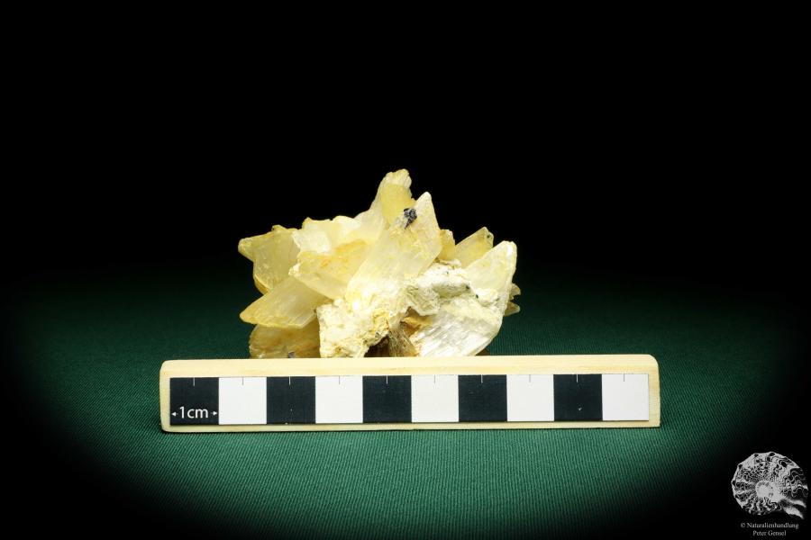 Gypsum XX (19914) a mineral from Romania | Minerals | From Germany