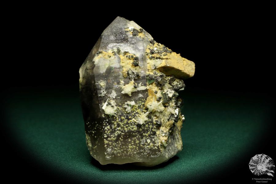 Quarz XX mit Bertrandit XX & Rhodochrosit XX & Pyrit XX (19915) ein Mineral aus Kasachstan | Mineralien | Weltweit