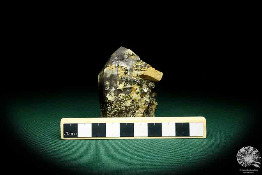 Quartz XX with Bertrandite XX & Rhodochrosite XX & Pyrite XX a mineral