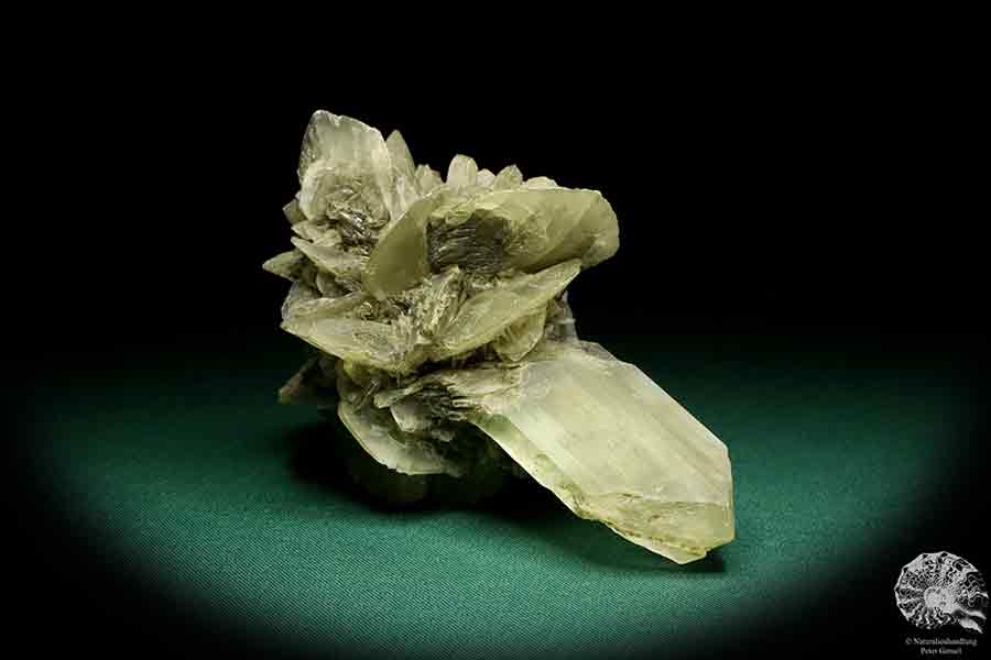 Gypsum XX a mineral