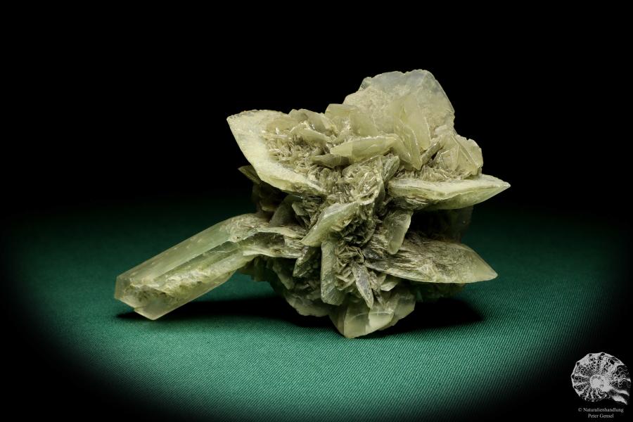 Gypsum XX a mineral