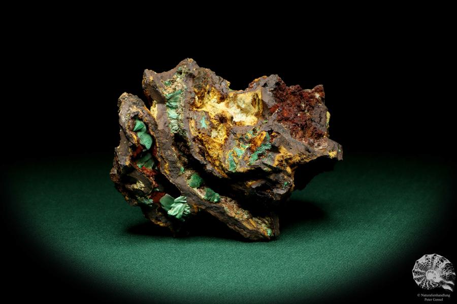 Malachite XX in Limonite a mineral