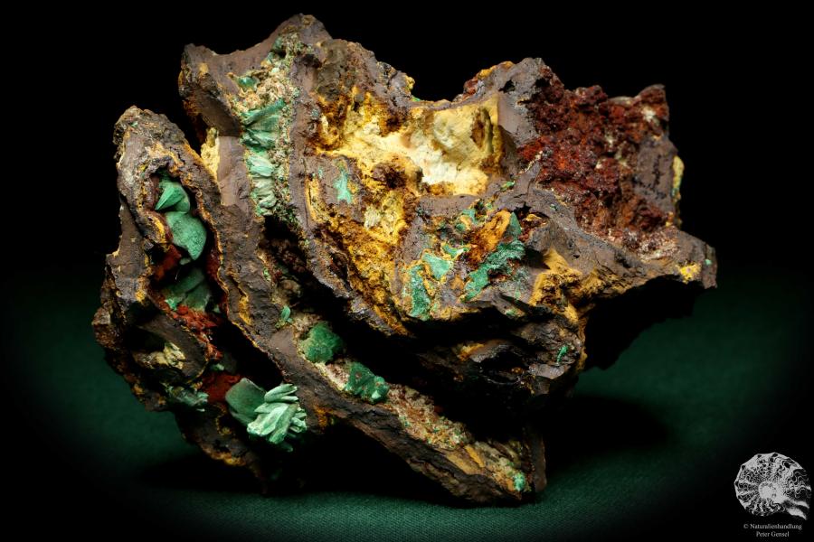 Malachite XX in Limonite a mineral