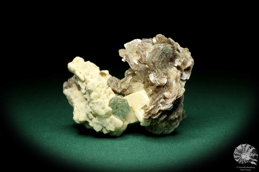 Lepidolith XX auf Albit (19928) ein Mineral aus Brasilien | Mineralien | Weltweit