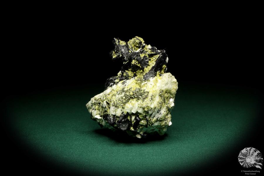 Schörl XX (19935) ein Mineral aus Russland | Mineralien | Weltweit