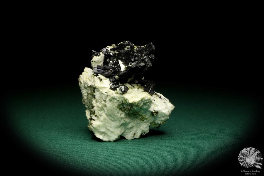 Schörl XX (19935) ein Mineral aus Russland | Mineralien | Weltweit