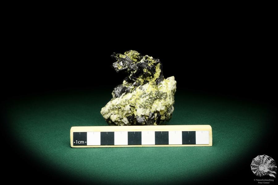 Schörl XX (19935) ein Mineral aus Russland | Mineralien | Weltweit