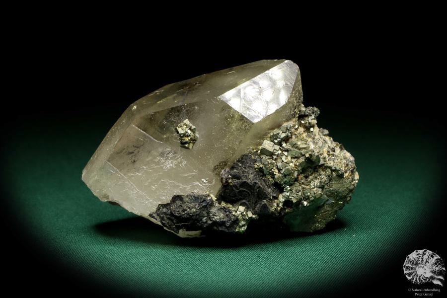 Quartz XX with Wolframite XX & Pyrite XX (19942) a mineral from Kazakhstan | Minerals | Global