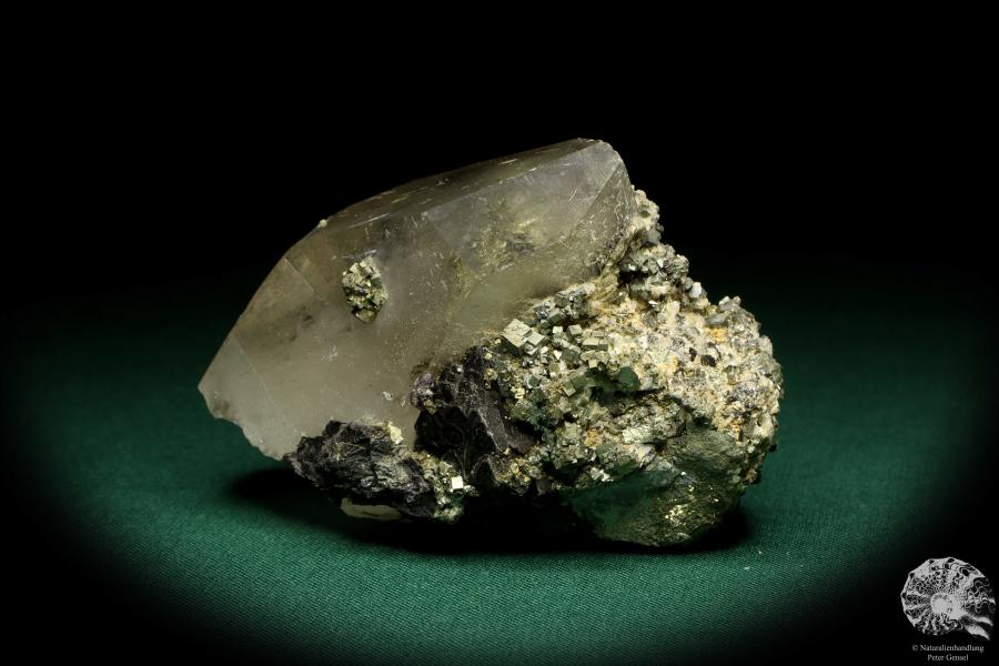 Quarz XX mit Wolframit XX & Pyrit XX (19942) ein Mineral aus Kasachstan | Mineralien | Weltweit