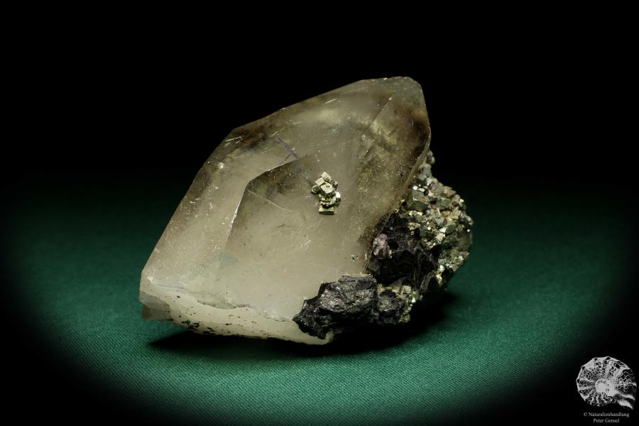 Quartz XX with Wolframite XX & Pyrite XX (19942) a mineral from Kazakhstan | Minerals | Global