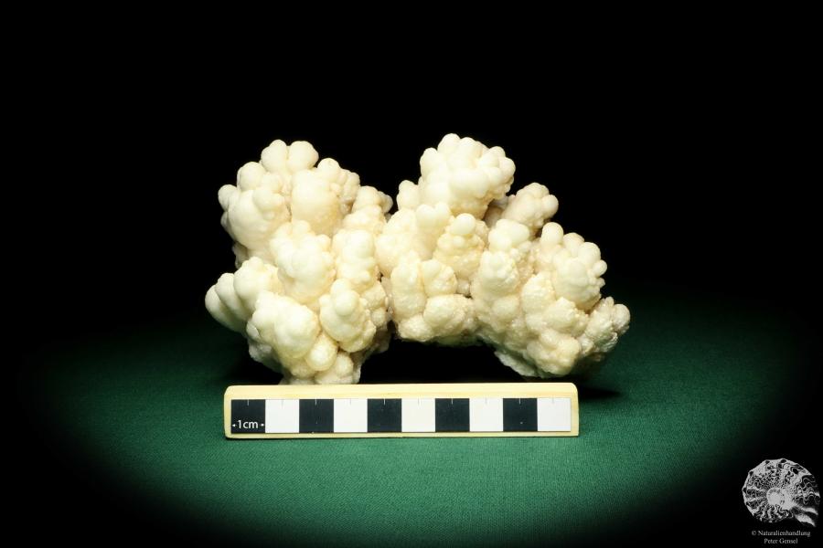 Aragonite (19955) a mineral from Morocco | Minerals | Global