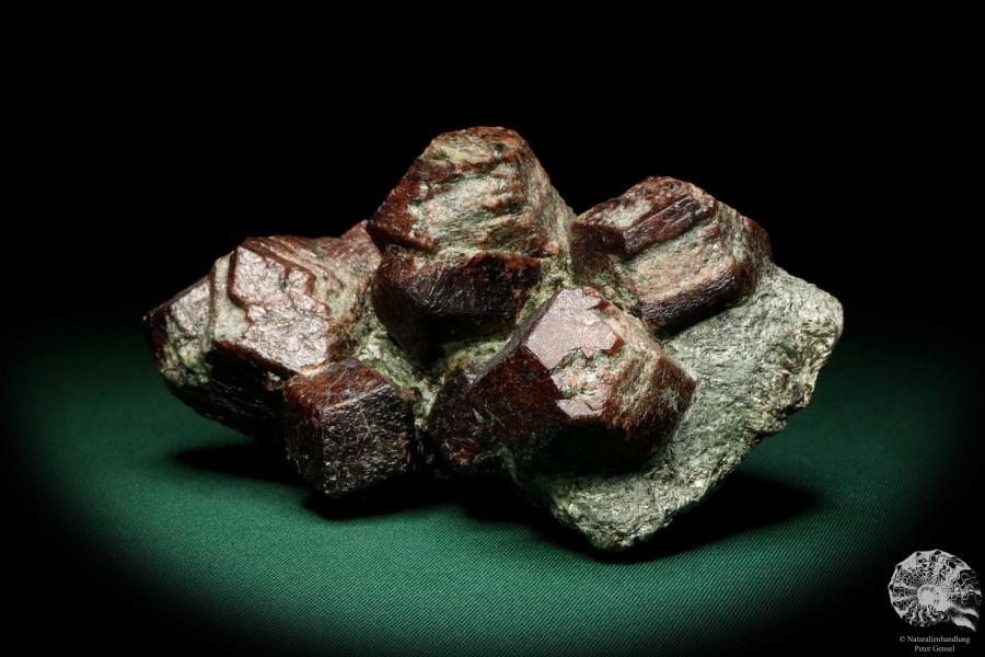 Almandin XX (19965) ein Mineral aus Österreich | Mineralien | Weltweit