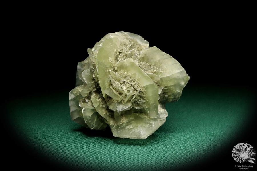 Gypsum XX a mineral