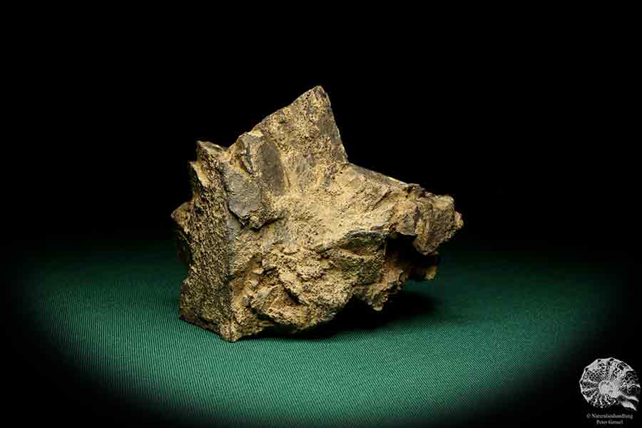 Siderite XX a mineral