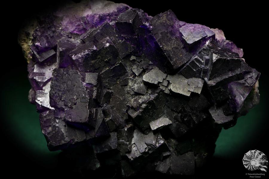 Fluorite XX (19984) a mineral from Mexico | Minerals | Global